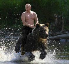 a man riding on the back of a bear in water with caption saying ice bucket challenge? you mean morning shower?