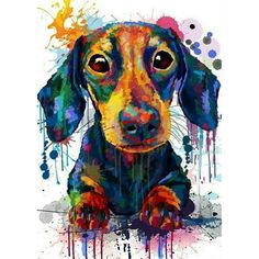 a painting of a dachshund dog with paint splatters on it's face