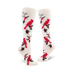 white knee high womens socks with a festive cardinal, pine boughs, and berry pattern. Winter Fire, Womens Knee High Socks, Bellingham Washington, Sock Lovers, Backyard Flowers, Funky Socks, Crazy Socks, Cutest Thing Ever, Long Socks