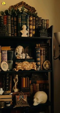 a bookshelf filled with lots of books and figurines on top of it