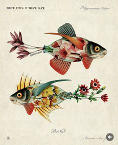 two drawings of fish with flowers on them