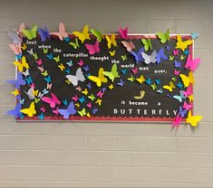 a bulletin board with colorful butterflies on it