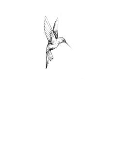 a drawing of a bird flying in the sky