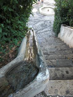 a cat is sitting on the steps in front of some bushes and trees with water running down them