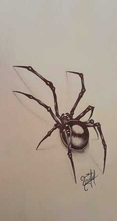 a drawing of a large spider on a white paper with the word's name underneath it