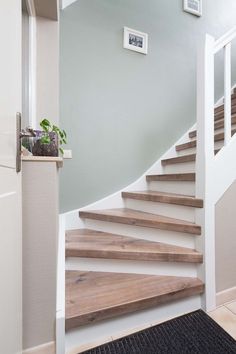 there is a stair case with wooden steps in the house and plants on the ledge