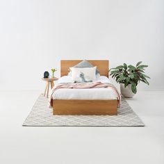 a bed sitting on top of a white rug next to a potted plant