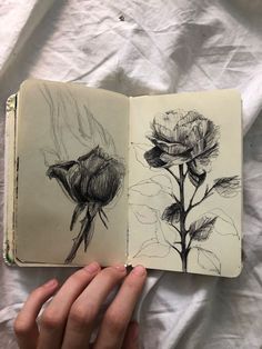 a hand holding an open book with two drawings on it and a flower in the middle