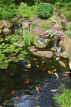 a pond filled with lots of water surrounded by rocks and flowers on top of it