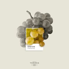 a bunch of grapes sitting on top of a white box with the words winetone winery