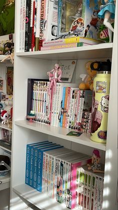 a book shelf filled with lots of children's books and other stuff on top of it