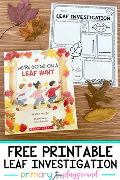 the leaf hunt is an easy fall activity for kids to learn how to use leaves