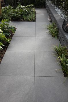 an outdoor walkway surrounded by plants and flowers