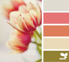 an image of a flower with color swatches