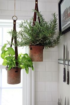 two potted plants hanging from hooks on a wall