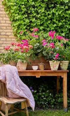 a wooden table topped with potted plants next to a wall covered in greenery