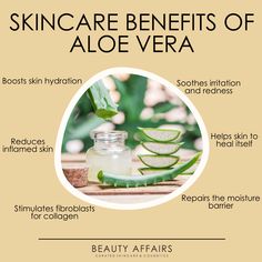 Aloe Vera For Skin Overnight, What Is Aloe Vera Good For, Use Of Aloe Vera Skin Care, Benefits Of Aloe Vera For Skin, Forever Aloe Scrub Benefits, Benefits Of Aloe Vera Gel, Skincare Knowledge