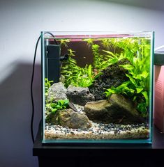 an aquarium filled with rocks and plants on top of a wooden table next to a light