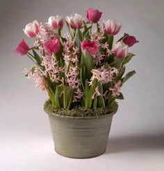 a potted plant with pink flowers in it