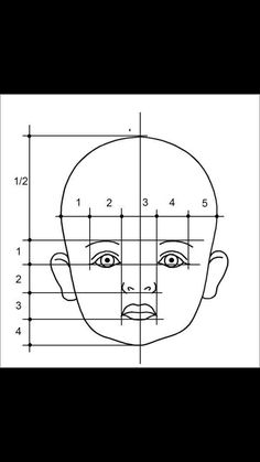 a drawing of a man's face with the lines drawn out to show his height