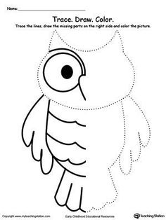 an owl is shown with the words trace draw color