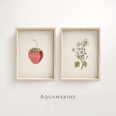 two framed pictures with flowers and a strawberry