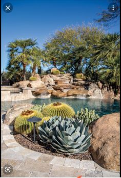 an outdoor pool surrounded by rocks and plants