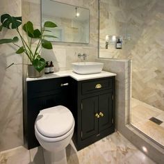 a white toilet sitting next to a sink in a bathroom under a mirror and a potted plant