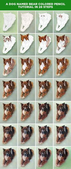 the dog has many different pictures on it's face and body, including an image of