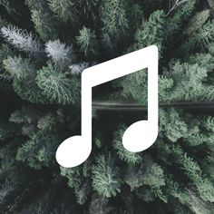 an overhead view of trees with musical notes