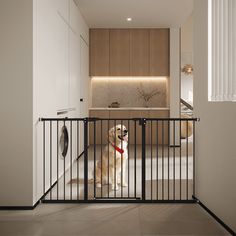 a dog sitting behind a gate in a room with white walls and wood cabinets on the other side