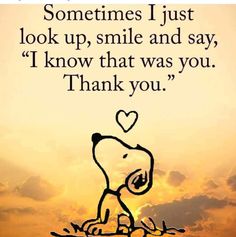 a snoopy saying that says, sometimes i just look up smile and say i know that was you thank you