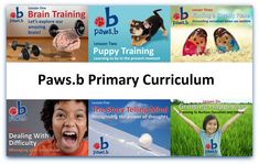 the paws b primary training program is designed to teach children about brain development and learning