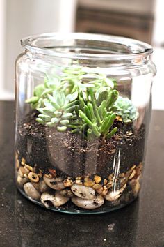 a glass jar filled with plants on top of a table