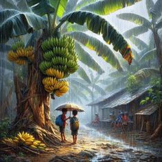 two people are walking in the rain with umbrellas and bananas on their heads,