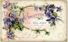 a pink and blue sign that says violetttes with flowers on the bottom of it