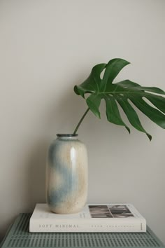 a potted plant sitting on top of a table next to a book and magazine