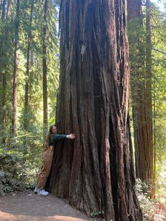 a woman standing next to a giant tree in the forest with her arms out and pointing at it