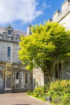 University Cork Ireland stock photo Cork Ireland, Building Facade, Old Building, Study Abroad