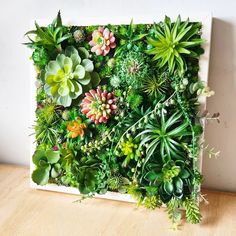 an arrangement of succulents and plants in a white frame on a wooden table