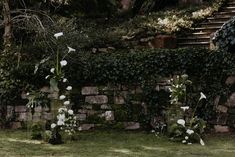 white flowers are growing on the side of a brick wall in front of a stone fence