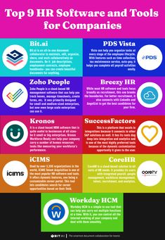 the top 9 hr software and tools for companies infographical poster with different icons