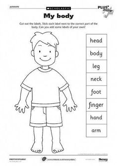 a worksheet with the words my body and an image of a boy in shorts