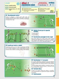 an info sheet describing the different types of soccer players and their positions on the field