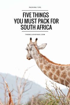 a giraffe with the words five things you must pack for south africa