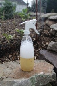 a spray bottle sitting on top of a rock