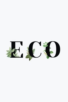 the word eco written in black and white with green leaves on it's letters