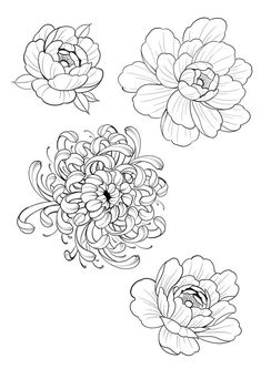 three flowers are shown in black and white, with one flower on the left side