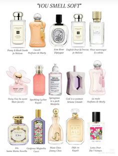 Soft Summer Perfume, Perfume Categories, Everyday Perfume, Perfume Collection Aesthetic, Soft Perfume, Summer Perfumes, Winter Perfume, Perfume Hacks, Collection Perfume