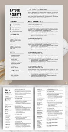 the professional resume template is ready to be used for any job